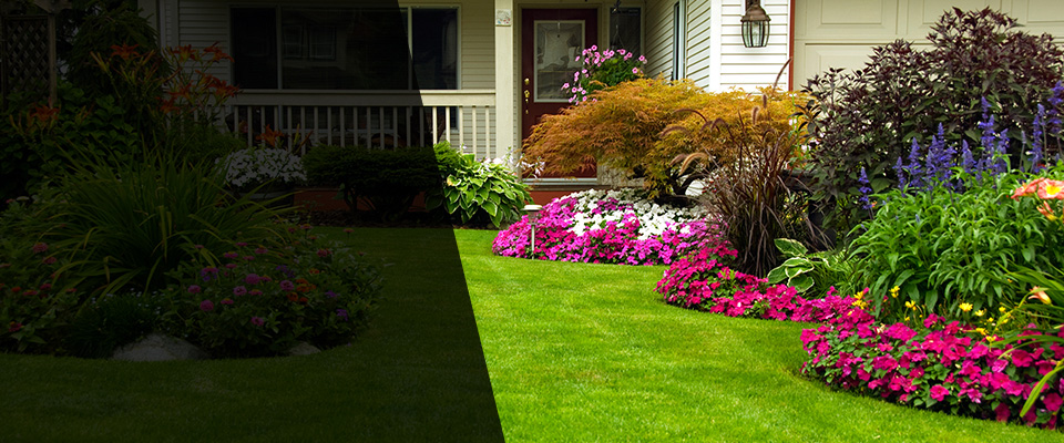 Eden Landscapers